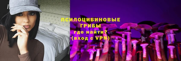 индика Абаза