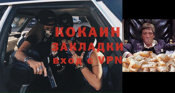 индика Абаза
