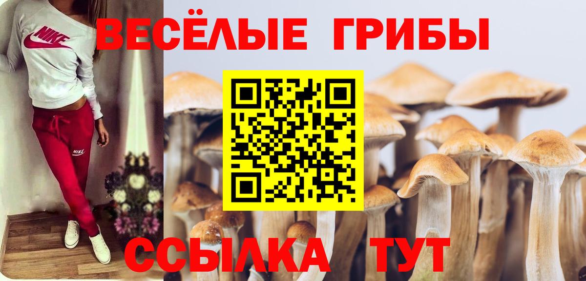 Галлюциногенные грибы мухоморы Белая Калитва